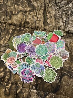 Assorted Succulent Sticker Pack – Green & Multicolor